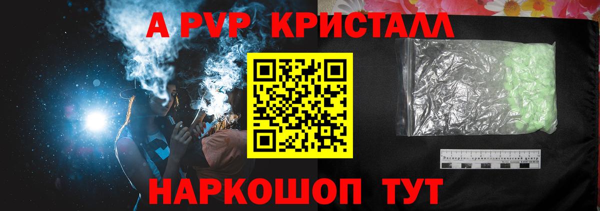 Alfa_PVP СК Горно-Алтайск