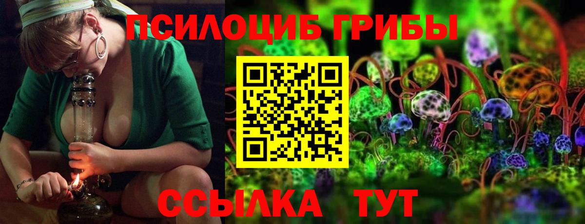 Псилоцибиновые грибы MAGIC MUSHROOMS  Вход с VPN  где найти наркотики  Горно-Алтайск 